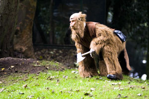 Encounter at Archway