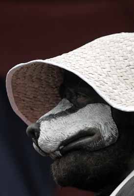 2004-04-10@11-12-49.jpg, 27/04/2004, 32 kB