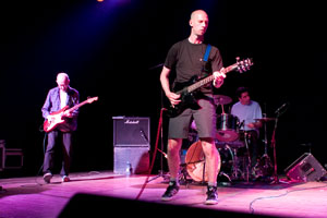 Half Man Half Biscuit