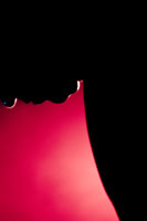 portioncontrol-infest