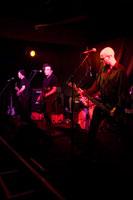 The Torpedoes