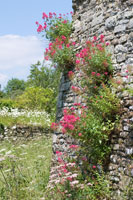 Stokesay Castle