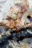 Orkney - Seascape
