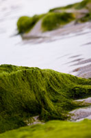 Orkney - Seascape