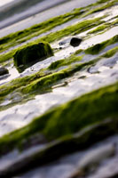 Orkney - Seascape