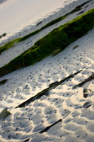 Orkney - Seascape