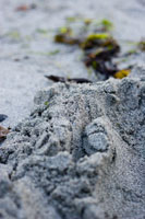 Orkney - Seascape