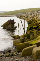 Orkney - Seascape
