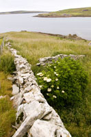 Orkney - Ruins