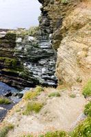 Orkney - Seascape