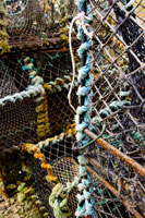 Orkney - Seascape