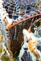 Orkney - Seascape