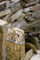 Orkney - Ruins