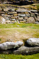 Orkney - Ruins