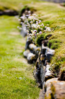 Orkney - Ruins