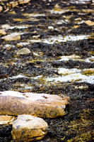 Orkney - Seascape