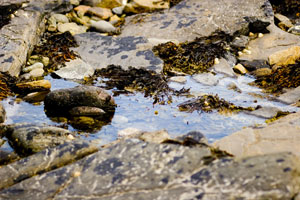Orkney - Seascape