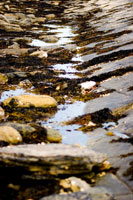 Orkney - Seascape