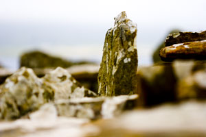 Orkney - Ruins