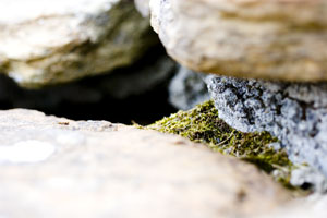 Orkney - Ruins