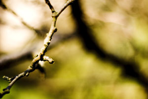 Futility