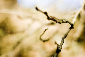 Futility