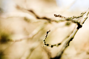 Futility